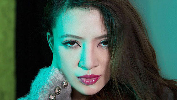 Honl Photo Traveller 8 Softbox